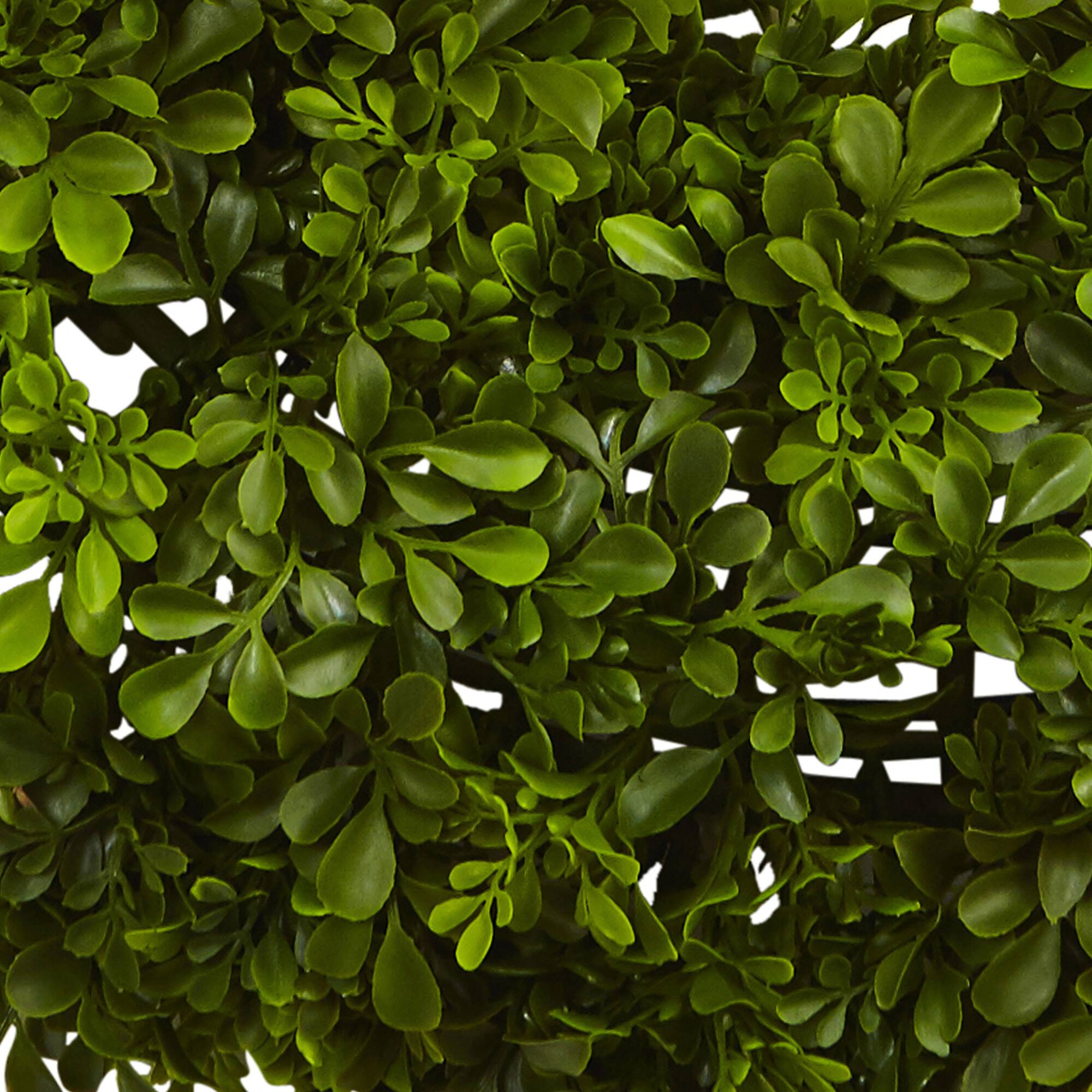 22” Boxwood Wreath